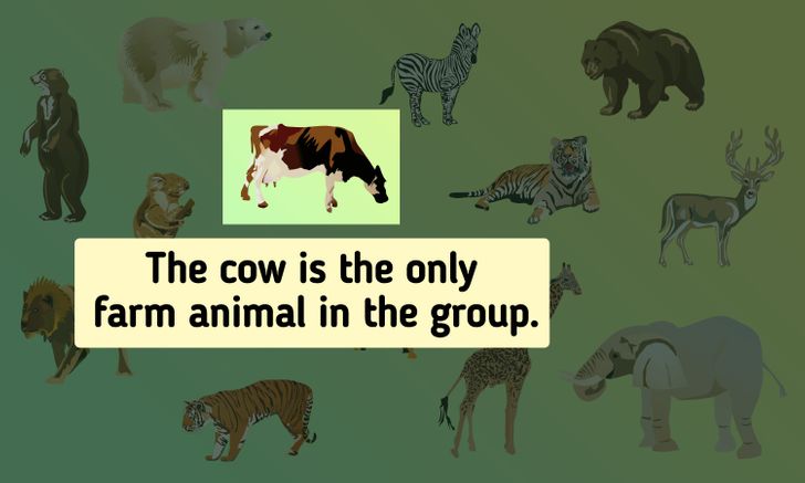 Rätt svar: Kossan, som är det enda djur som hör hemma på en bondgård.