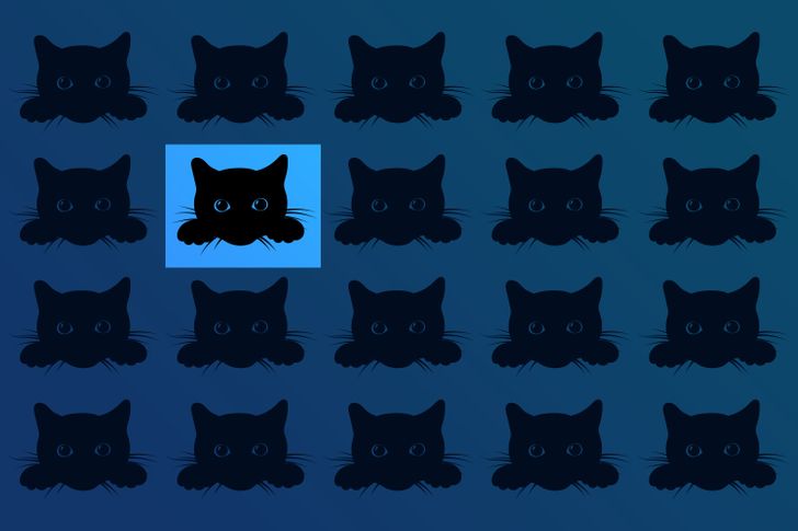 Rätt svar: Denna katt har färre morrhår.